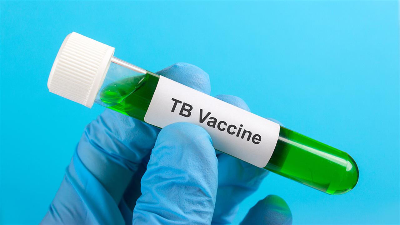 Το εμβόλιο της φυματίωσης συρρίκνωσε καρκινικούς ηπατικούς όγκους ποντικών [μελέτη]