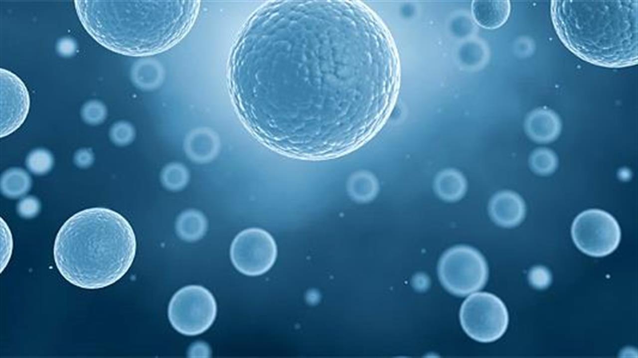 Σημαντική ανακάλυψη στα βλαστικά κύτταρα