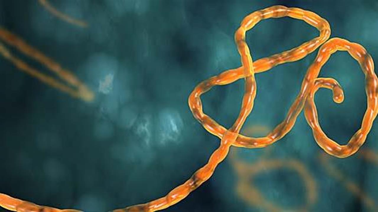 Ευρεία σύσκεψη για τον Ebola