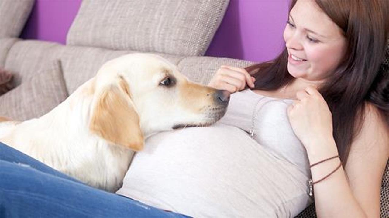 Σκύλος, εγκυμοσύνη και μωρό: Yπάρχει κίνδυνος;