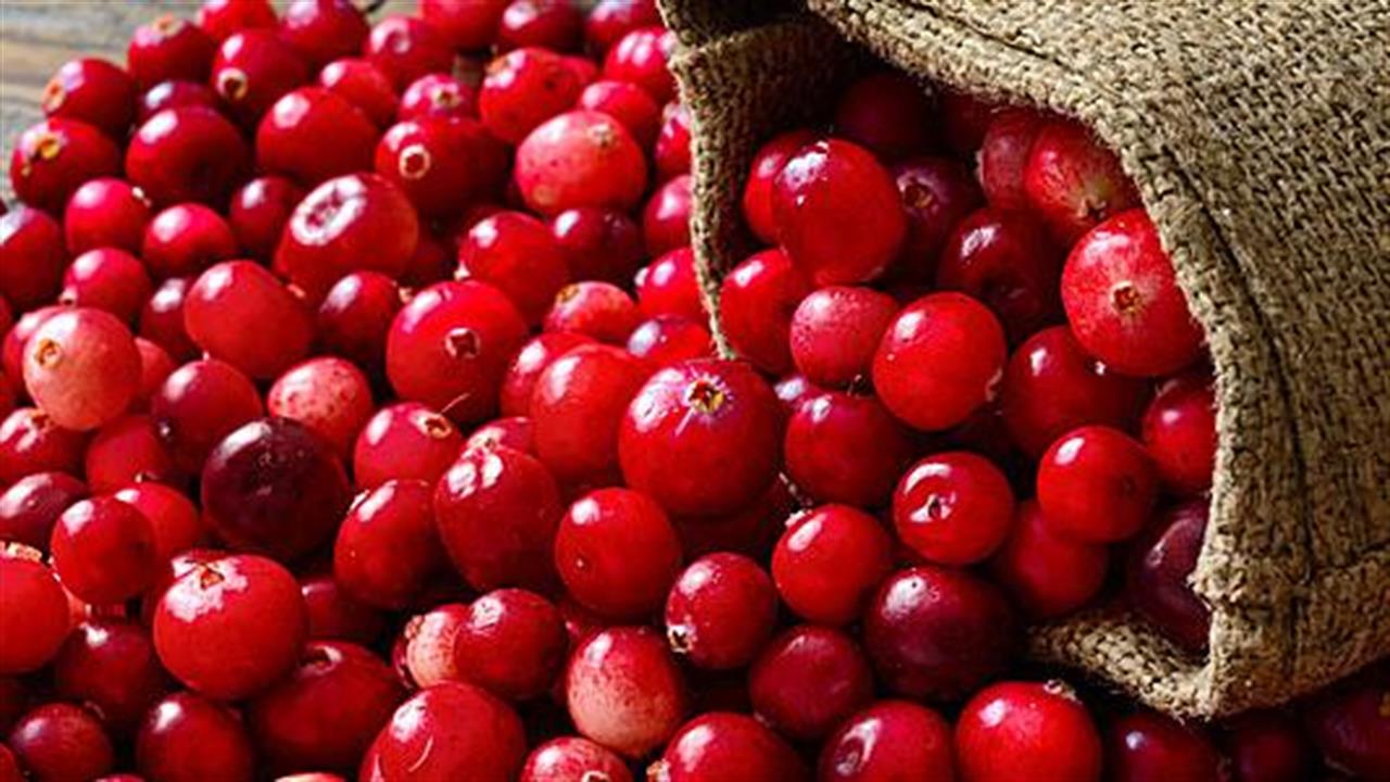 Εκχύλισμα cranberry κατά του καρκίνου στο παχύ έντερο;