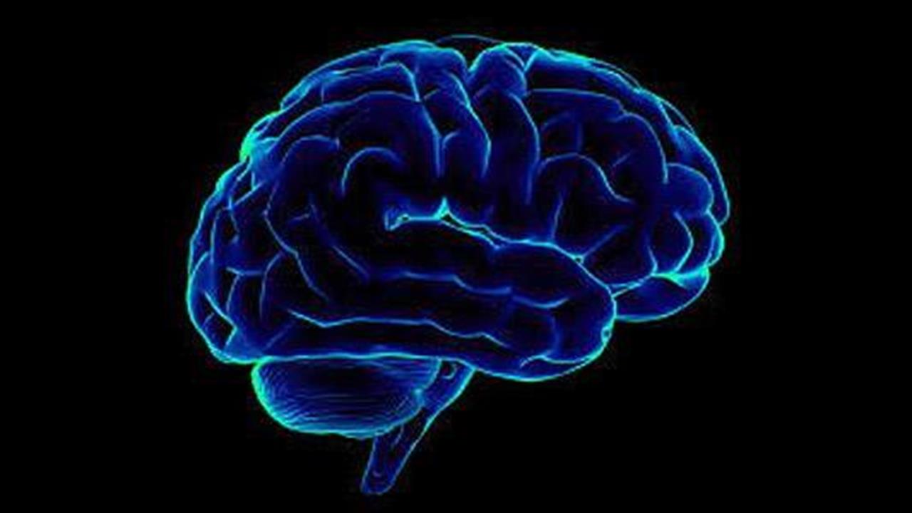 Γιατί ο άνθρωπος έχει μεγαλύτερο εγκέφαλο;