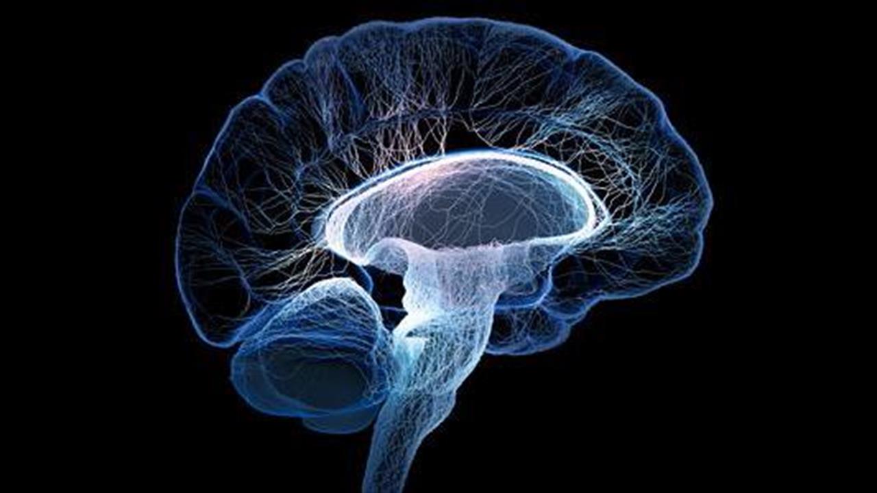 Η αύξηση πρωτεΐνης του εγκεφάλου αμβλύνει τα συμπτώματα της νόσου Alzheimer