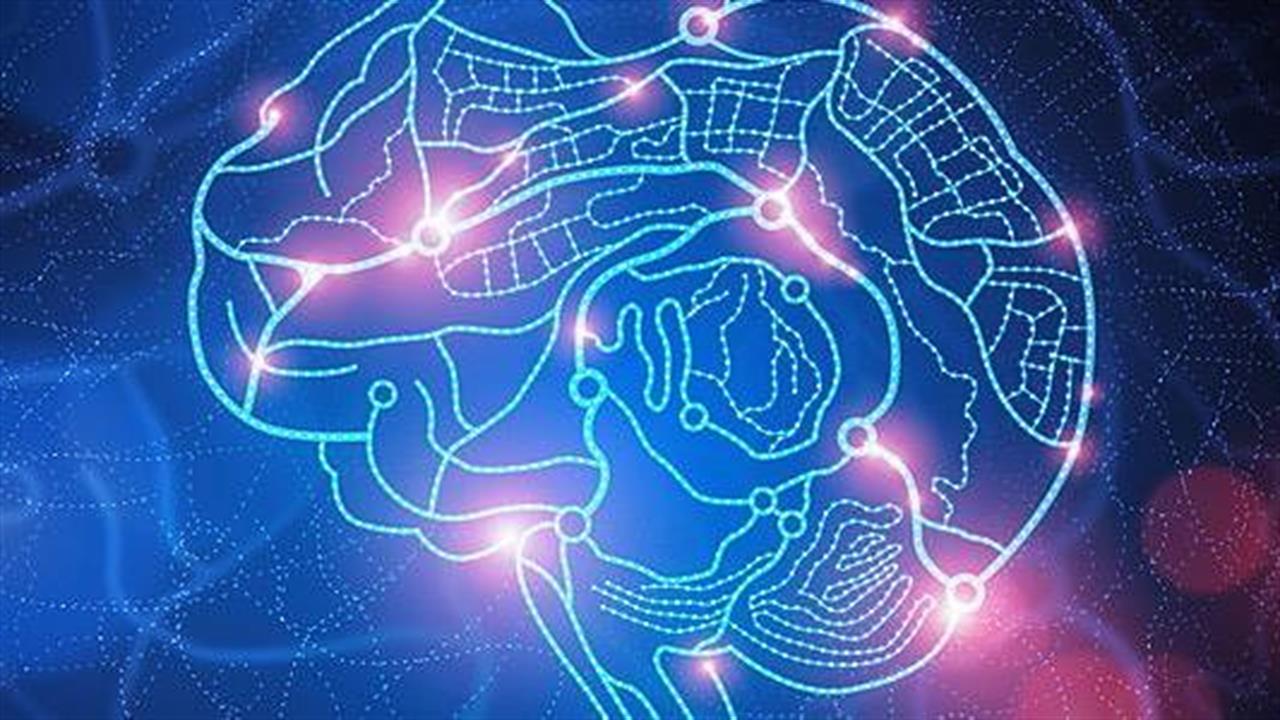 Ερευνητές χαρτογραφούν τον εγκέφαλο