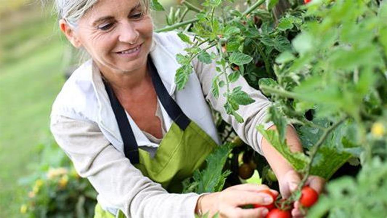 Πώς μπορεί να βοηθήσει η κηπουρική επιζώντες από καρκίνο;