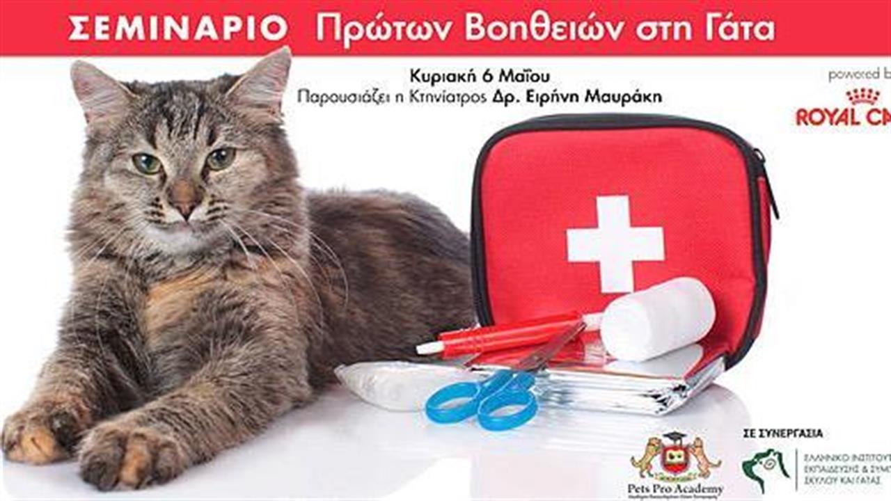 Ημερίδα πρώτων βοηθειών για τη γάτα στις 6 Μαϊου