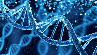 Το αρχαίο DNA αποκαλύπτει τον λόγο για τα υψηλά ποσοστά σκλήρυνσης κατά πλάκας στην Ευρώπη