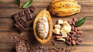 Απειλείται η παγκόσμια προσφορά σοκολάτας από καταστροφικό ιό
