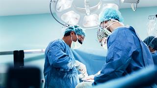 ΗΠΑ: Δεύτερη εταμόσχευση νεφρού γενετικά τροποποιημένου χοίρου σε ασθενή
