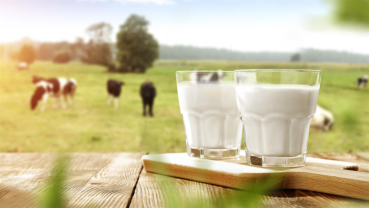 Η κατανάλωση γάλακτος μπορεί να μειώσει τα επίπεδα χοληστερόλης