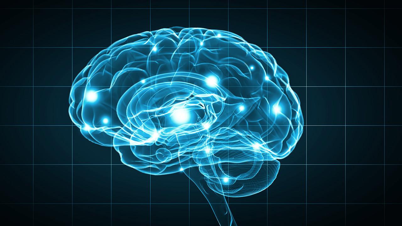 Το μέγεθος και το σχήμα εγκεφαλικών αρτηριών μπορεί να προβλέψει τον κίνδυνο ανευρύσματος