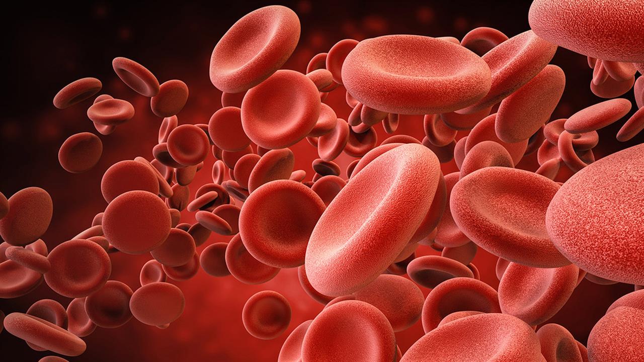 Δωρεάν εξετάσεις γενικής αίματος και φερριτίνης στις 25 και 26 Νοεμβρίου για γυναίκες
