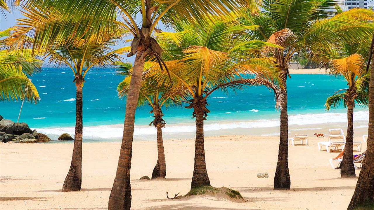 Έρευνα στο Πουέρτο Ρίκο έδειξε χαμηλότερο κίνδυνο για καρκίνο στο μαστό με περισσότερη έκθεση στον ήλιο
