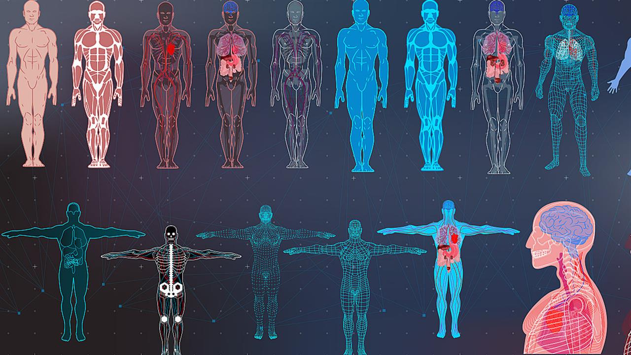 Τα όργανα του σώματος γερνούν με διαφορετικό ρυθμό, βάσει τρόπου ζωής και γενετικών παραγόντων
