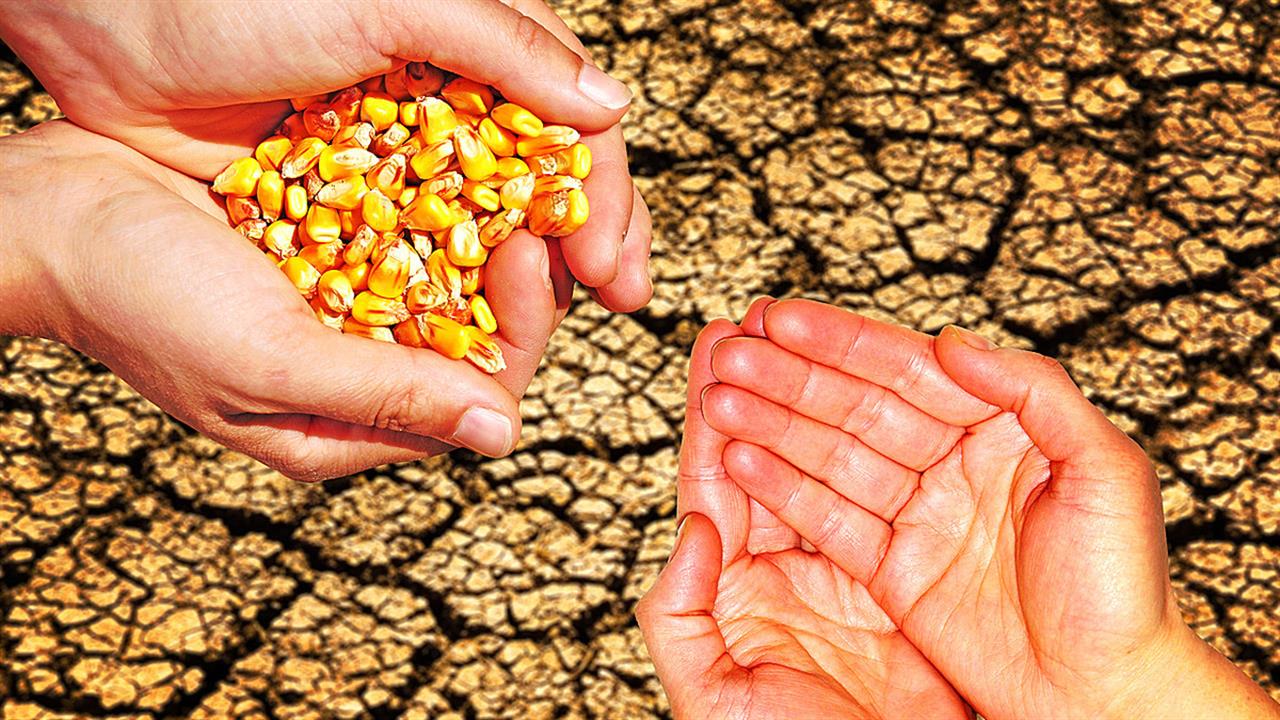 Ταΐζοντας τον κόσμο: Ποιες είναι οι προκλήσεις και πώς θα επιτύχουμε την παγκόσμια επισιτιστική ασφάλεια