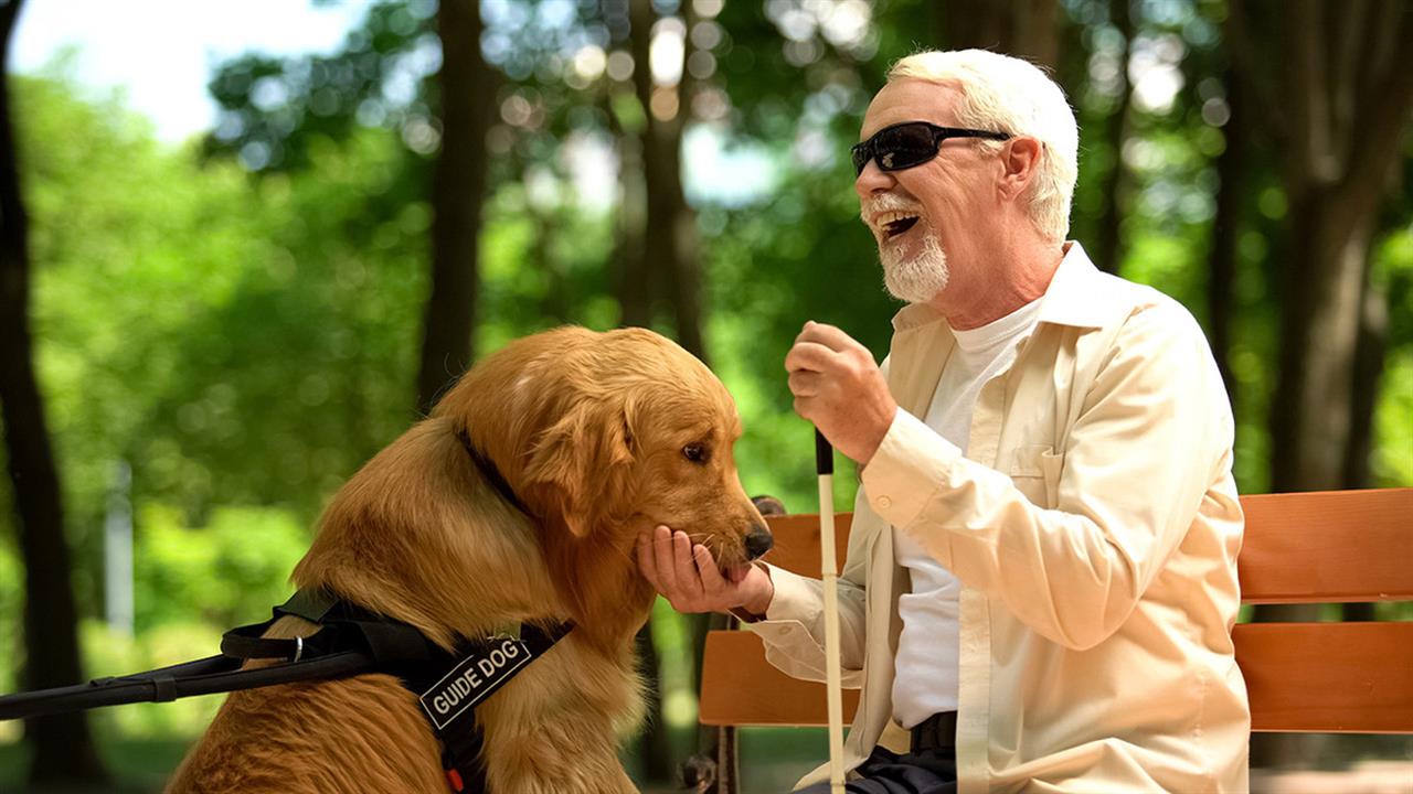 Liberty Guide Dogs  και We Solve Γεφυρώνουν την Απόσταση για τα  Δικαιώματα των Ατόμων με Αναπηρία