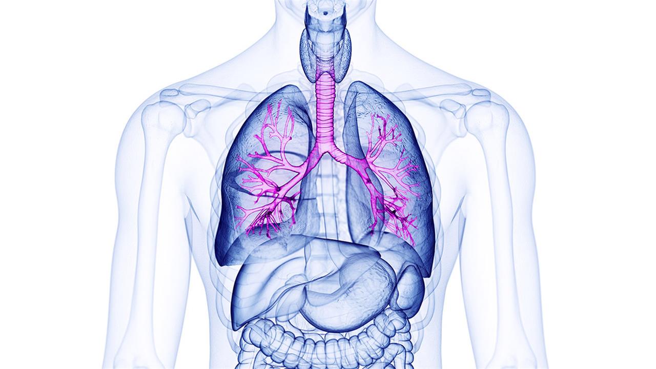 Ενδοβρογχικό υπερηχογράφημα για διάγνωση καρκίνου του πνεύμονα