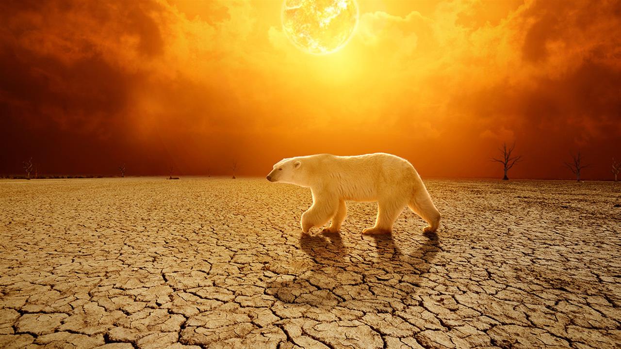 Η μεταβλητότητα θερμοκρασίας προκαλεί περισσότερους θανάτους από τους καύσωνες