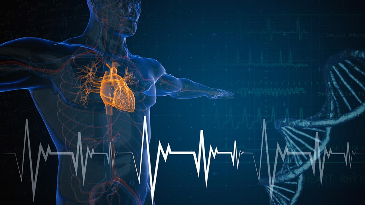 Μελέτη: Η καρδιαγγειακή υγεία προστατεύει από εγκεφαλικά, ακόμη και με υψηλό γενετικό κίνδυνο