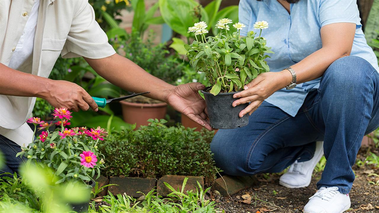 Η κηπουρική μπορεί να προσφέρει μεγάλα οφέλη στην υγεία [έρευνα]