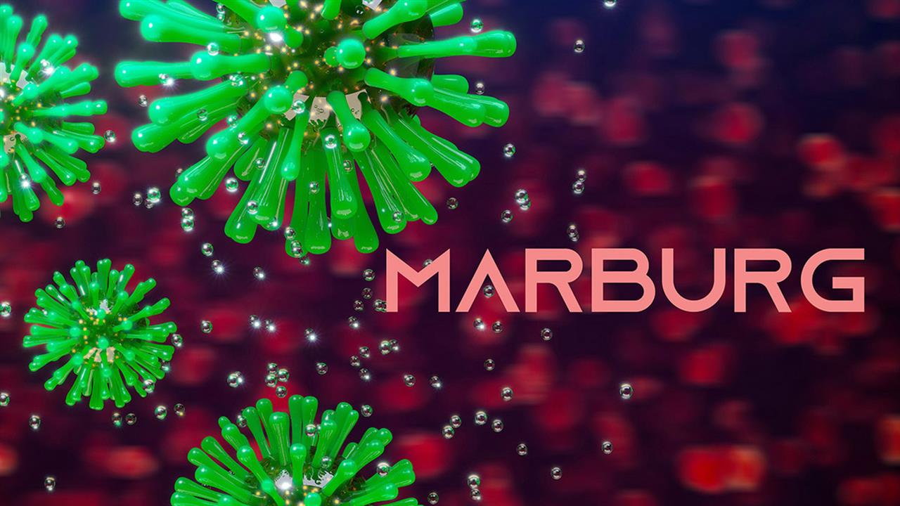 Marburg: ένας επικίνδυνος και θανατηφόρος ιός