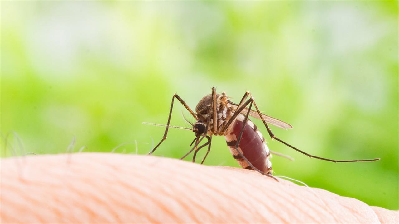Περαιτέρω θετικά στοιχεία για το εμβόλιο κατά του ιού Chikungunya της Valneva