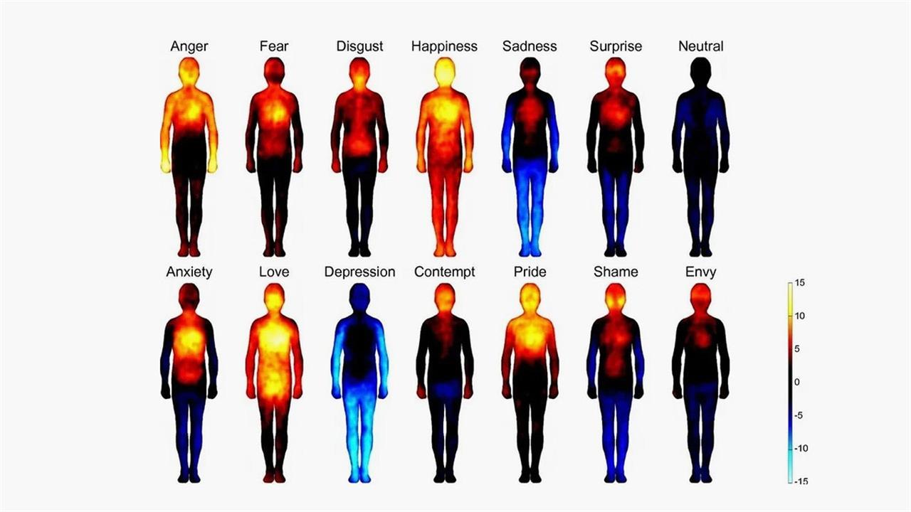 Χαρτογράφηση των συναισθημάτων στο σώμα