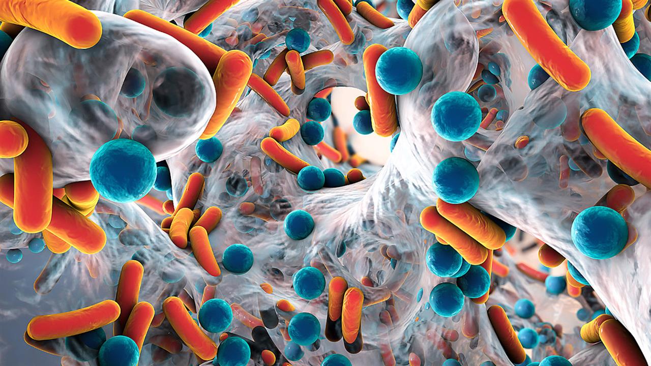 ΕΜΑ: Ενέκρινε αντιβιοτικό για δύσκολες λοιμώξεις από Gram-αρνητικά βακτήρια
