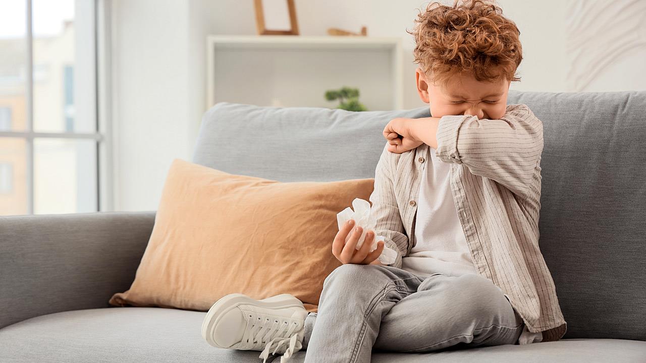 Αεροαλλεργιογόνα και αλλεργικά νοσήματα του αναπνευστικού στα παιδιά