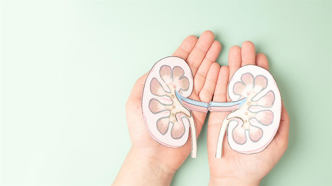 Παγκόσμια Ημέρα Νεφρού 2026: Υγεία για όλους – Φροντίδα για τον άνθρωπο, προστασία για τον πλανήτη
