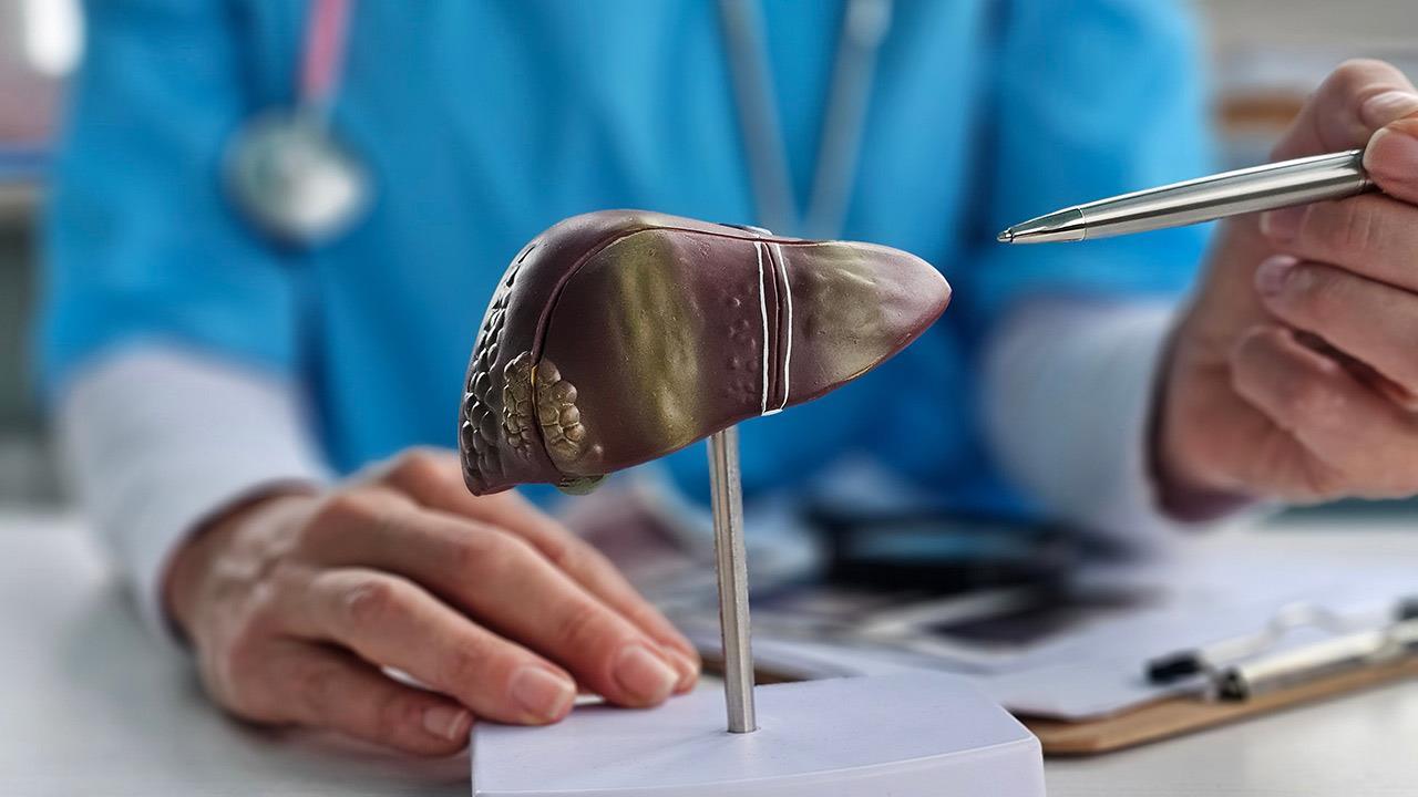 Νέα δεδομένα για τον συνδυασμό zalfermin και semaglutide στη μεταβολικά σχετιζόμενη στεατοηπατίτιδα