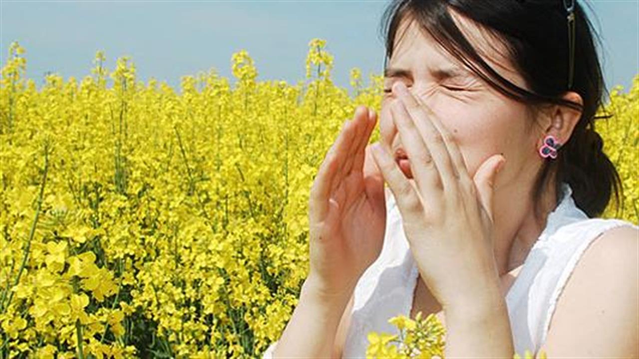 Όλα όσα πρέπει να γνωρίζετε για την αλλεργική ρινίτιδα