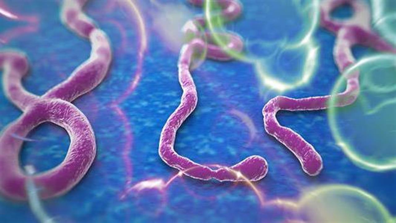 Δύο “ύποπτα” κρούσματα λοίμωξης από ιό Εμπολα στην Ελλάδα