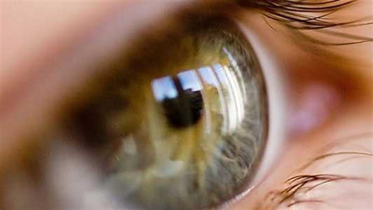 Здоровая сетчатка глаза. Возрастная макулярная дегенерация формы. Ангиоидные полосы сетчатки. Эпиретинальный фиброз. Сетчатка глаза инвалидность.