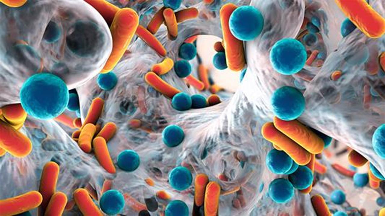 Βακτήρια: Συνέπειες της υπερέκθεσης του ανθρώπινου οργανισμού στα αντιβιοτικά