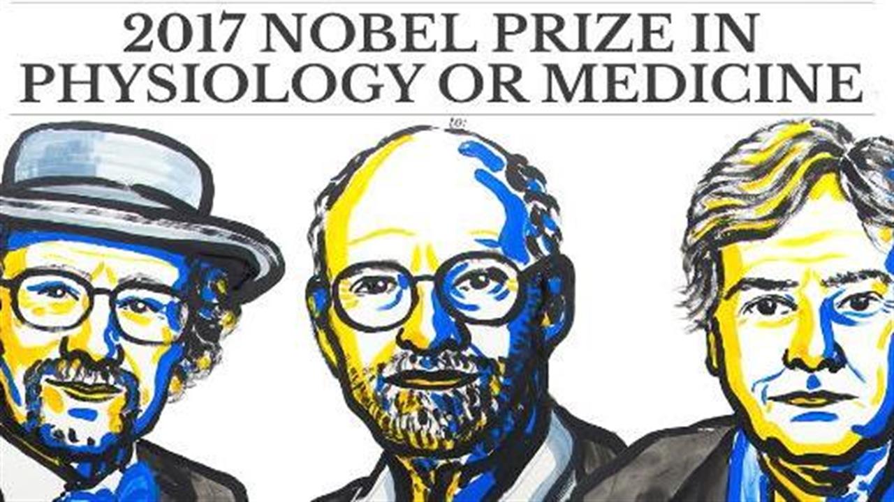 Βραβείο Νόμπελ Ιατρικής για τον μηχανισμό του βιολογικού ρολογιού