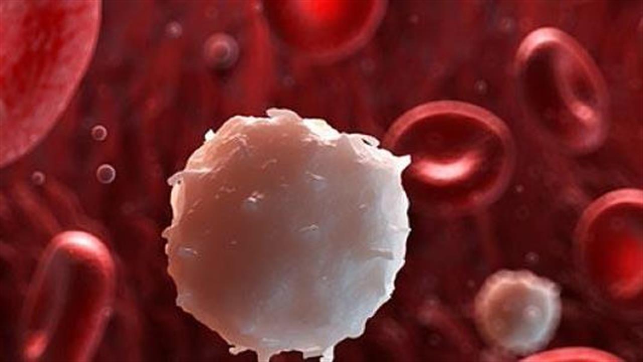 Σημαντικές εξελίξεις στην αντιμέτωπιση της Χρόνιας Λεμφοκυτταρικής Λευχαιμίας