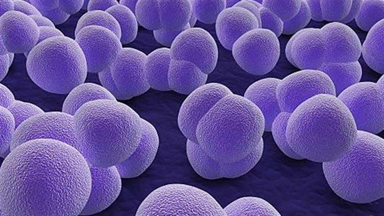 Βακτήρια του δέρματος μπορούν να προστατεύσουν από τον καρκίνο;