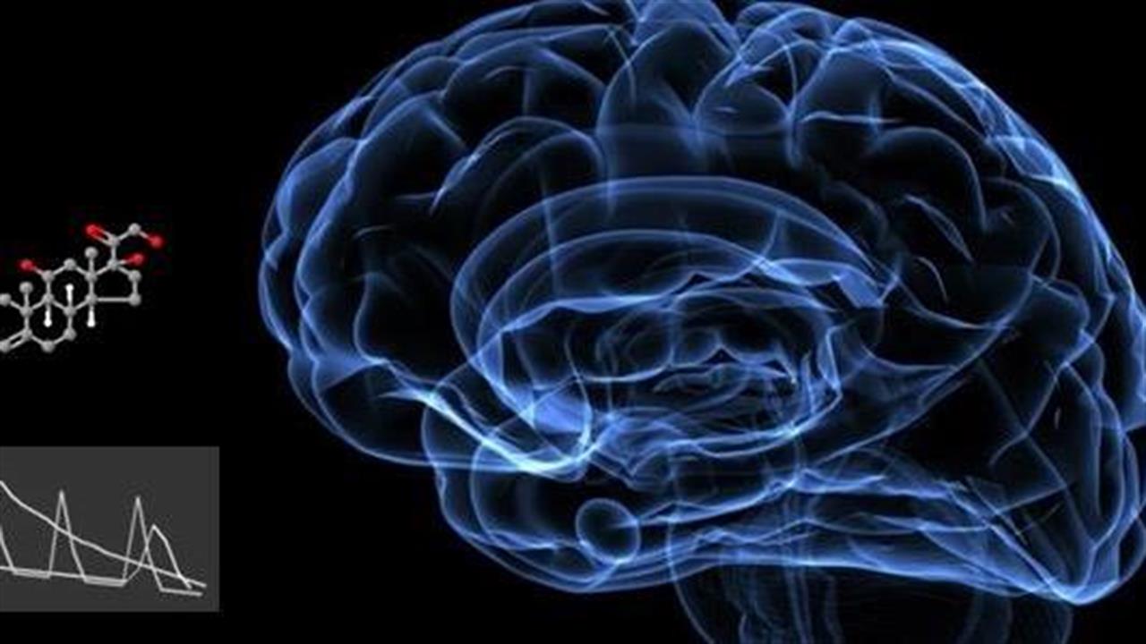 Νέα δεδομένα στην αλληλεπίδραση της κορτιζόλης με τον εγκέφαλο