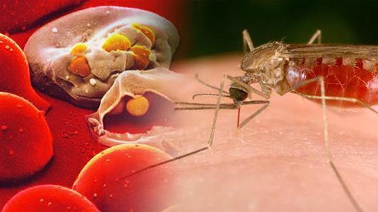 ECDC: Σε Ουγγαρία, Κροατία και Ελλάδα τα περισσότερα κρούσματα λοίμωξης από ιό Δυτικού Νείλου