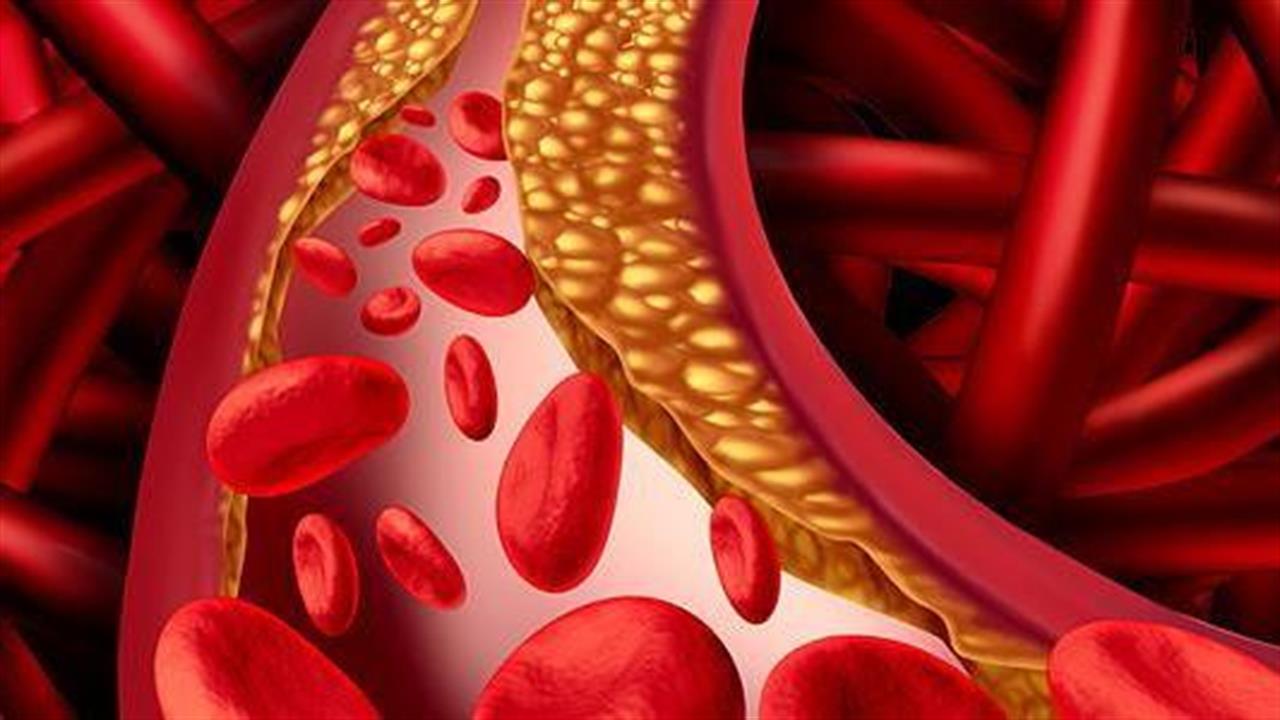 Αναπτύχθηκαν τέλεια αιμοφόρα αγγεία στο εργαστήριο