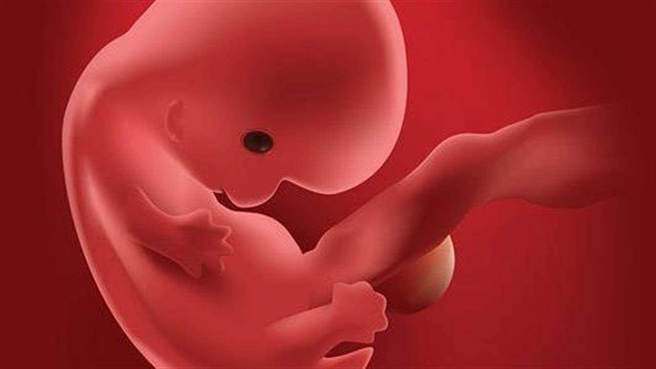 Εμβρυομεταφορά: Ποια είναι η κατάλληλη χρονική στιγμή για την εκτέλεσή της