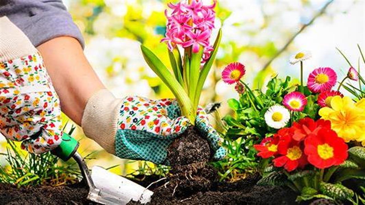 Ακόμα και η κηπουρική συνδέεται με χαμηλότερο κίνδυνο θανάτου από καρδιαγγειακή νόσο και καρκίνο