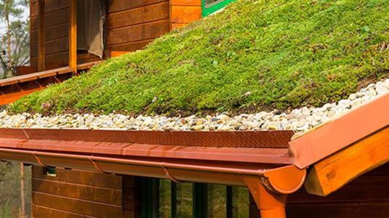 Πράσινες στέγες ενδεχομένως βελτιώνουν την ποιότητα του αέρα στο εσωτερικό κτιρίων
