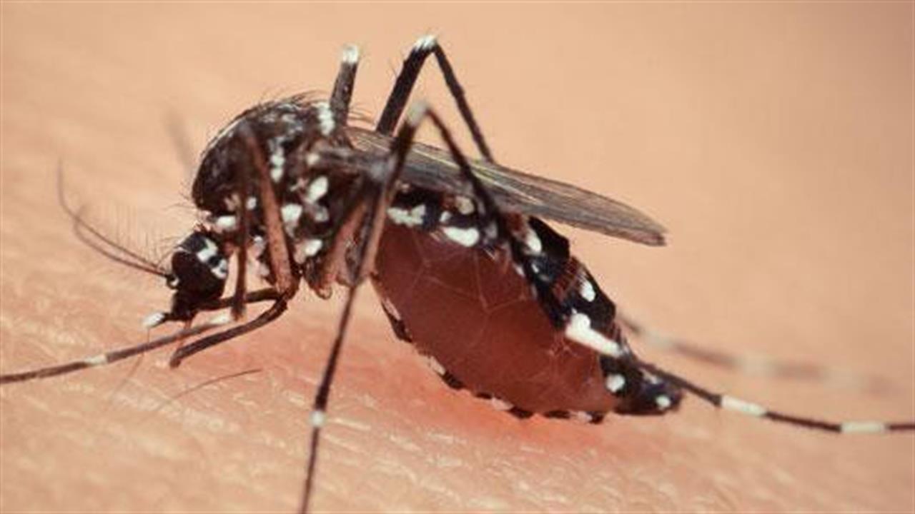 Ανθεκτικά στελέχη ελονοσίας στη νοτιοανατολική Ασία