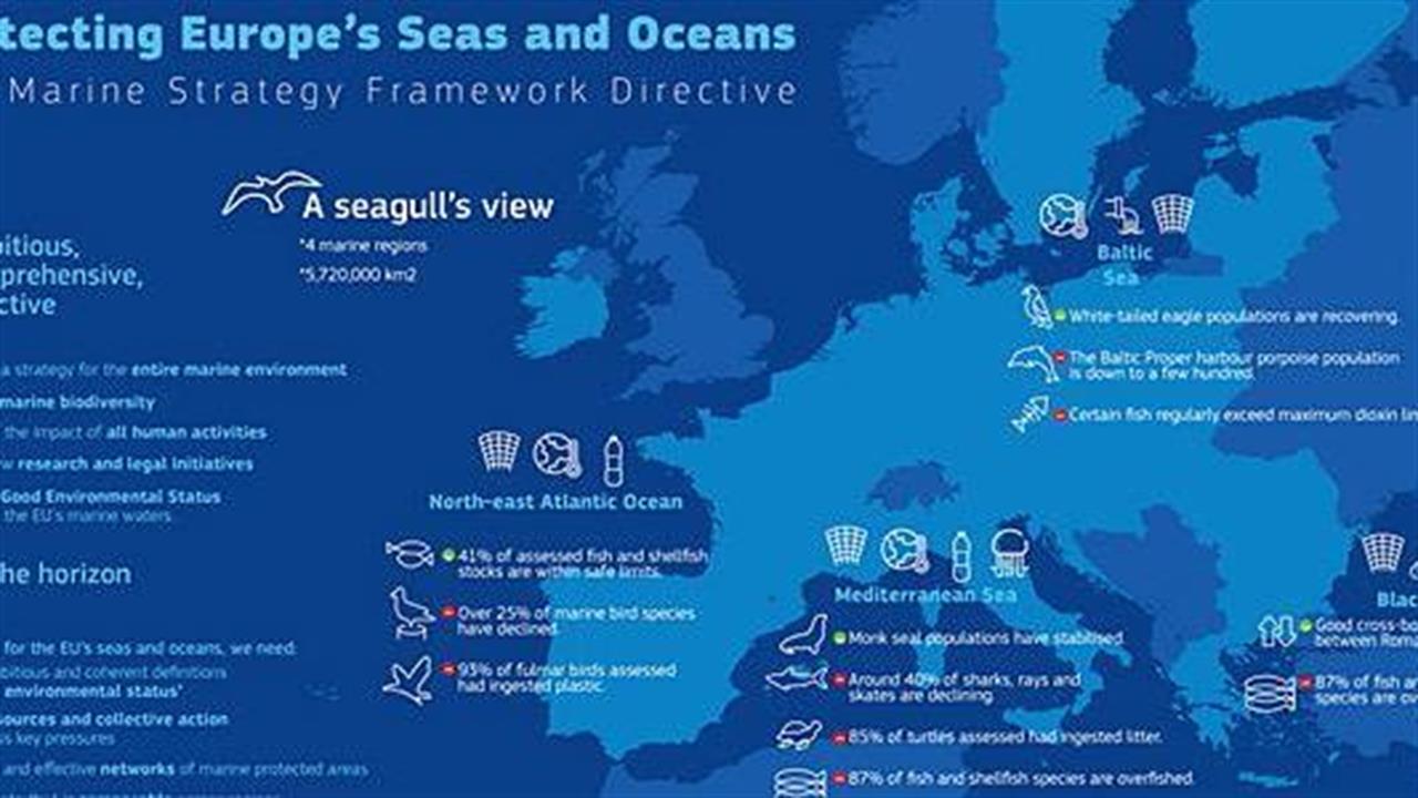 Ρύπανση θαλασσών και ωκεανών από πλαστικά και χημικά