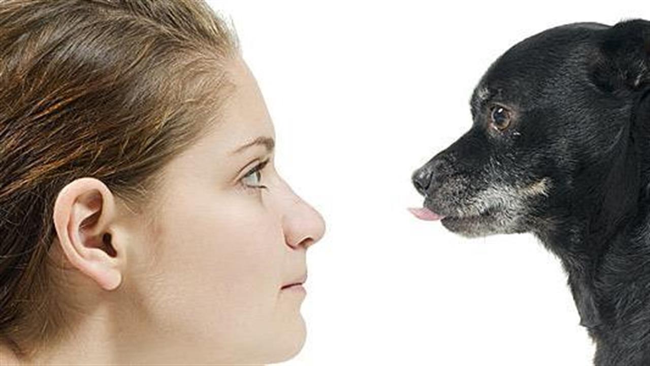 Ο σκύλος σας δεν προτιμά το πρόσωπό σας