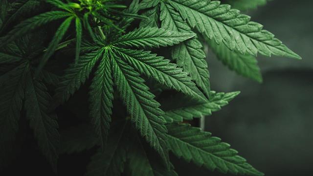 Διαδικτυακή έρευνα για τη χρήση ουσιών