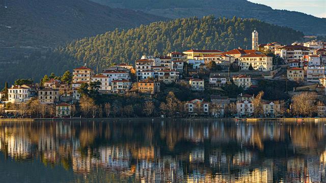 Καστοριά: H γρίπη των πτηνών εξοντώνει πελεκάνους