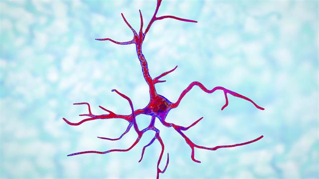 Αστροκύτταρα και διαταραχές ύπνου